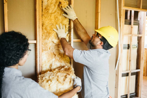 Best Eco-Friendly or Green Insulation Solutions  in Sheridan, CO